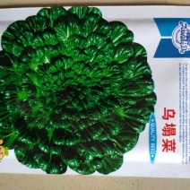 耐寒塌菜种子黑心乌乌塌菜种子