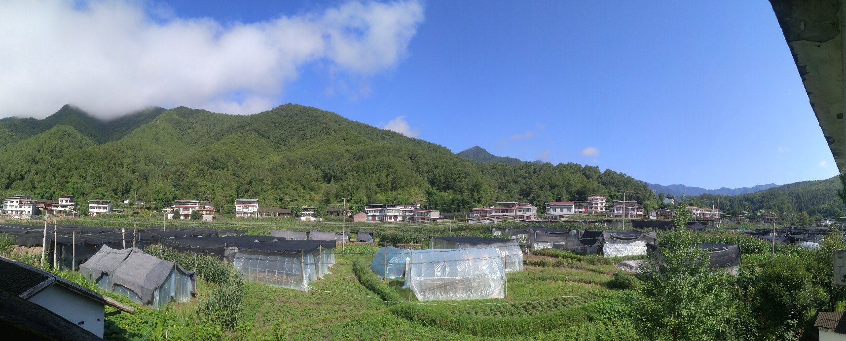 不同产地椴木银耳种植环境航拍图