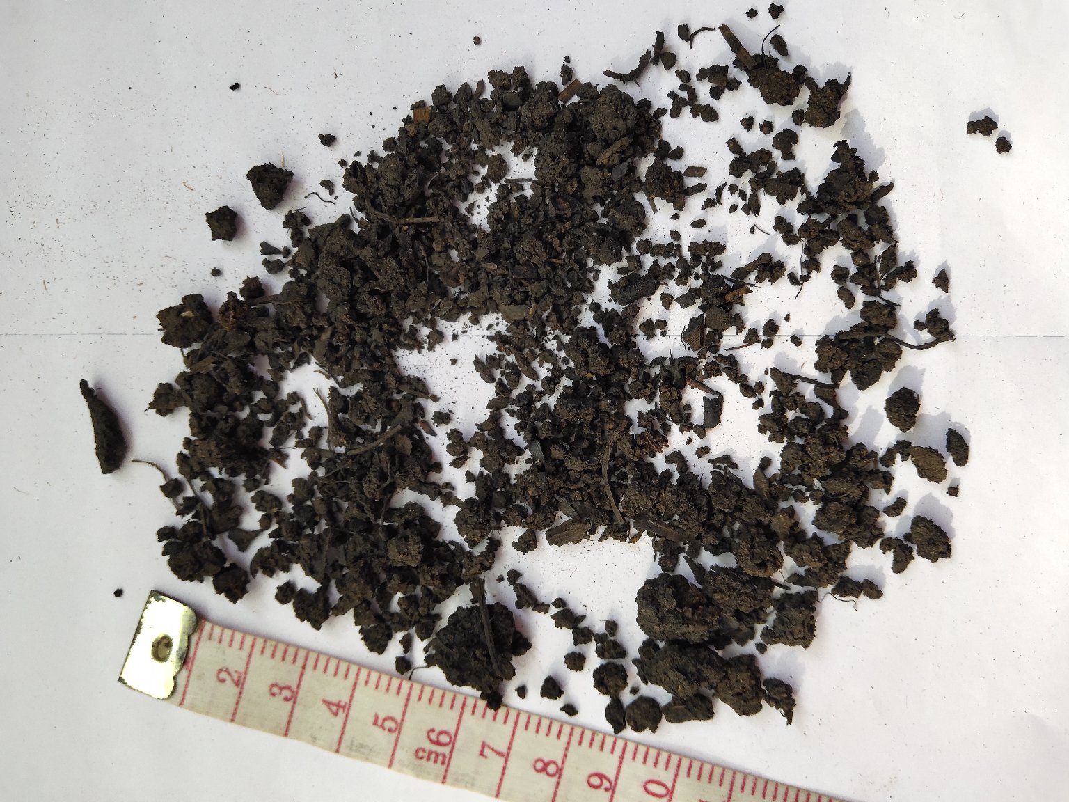木质药罐中盛放6克灰绿色陈艾叶段与20粒暗红色韩城大红袍花椒,旁置玻璃量杯显示200毫升琥珀色澄清药液,背景为实验室级电子天平(精度0.01g)与计时器(显示15:00),体现科学配伍与精准煎煮过程 艾叶与花椒标准化配伍煮水场景
