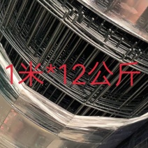 荷兰网