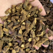 蒲公英根茶长白山野货熟茶纯野生瓶装包邮