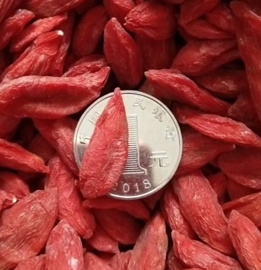 [红枸杞批发]宁夏小尖椒红枸杞(一件代发)价格80.00元/斤 - 一亩田