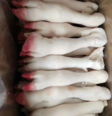 羊蹄20斤起水腿羊蹄火烧羊蹄精品羊蹄子1斤3个