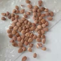 杏仁，核桃仁