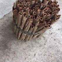 广西特产桂皮