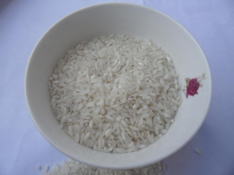 两张并列展示的白瓷碗,左边盛放的是优质长粒香大米,米粒细长分明、油润光亮;右边为普通圆粒大米,颗粒短粗、质地干涩,形成鲜明对比 长粒香大米与普通大米对比图