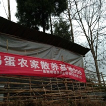 恩施土家富硒鸡
