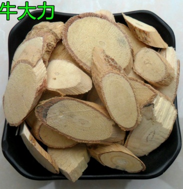 牛大力供应上千种中药材