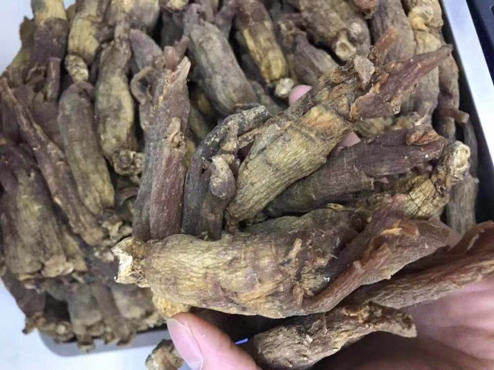 红参干品与湿品对比图