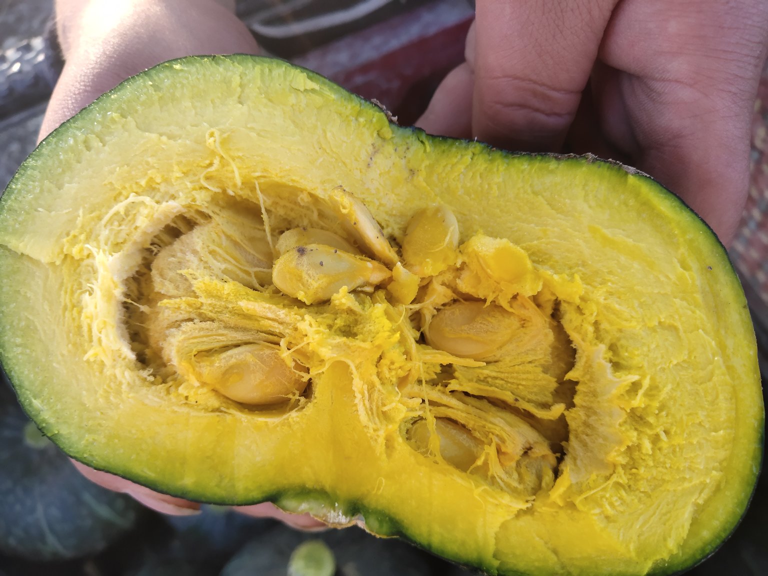 板栗南瓜的营养成分展示图