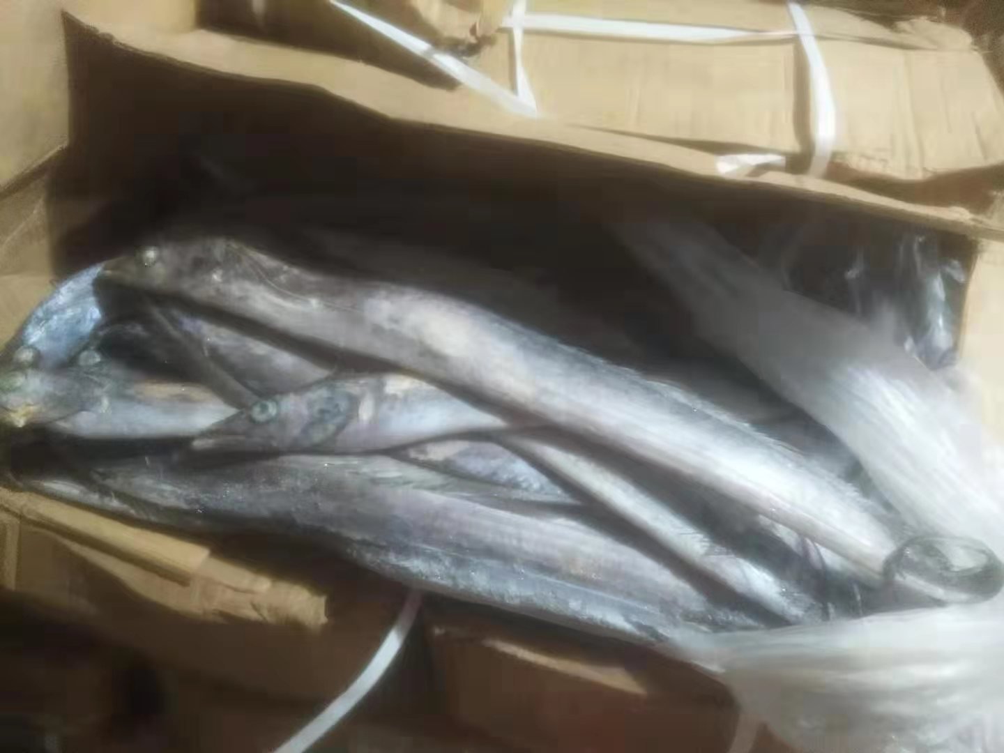 海鱼拼盘