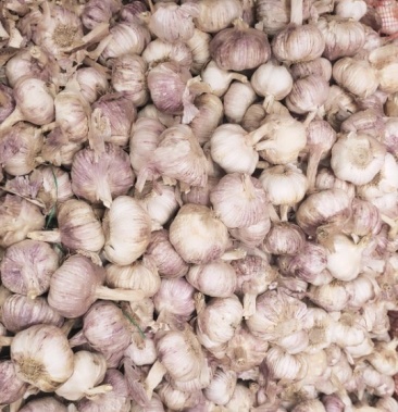 80起批价10000斤产地江苏徐州贾汪区物流运费待商议规格紫皮毛蒜380斤