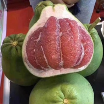 泰国红宝石青皮柚苗，红宝石葡萄柚