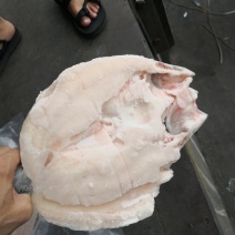 开背腌制巴沙鱼，探鱼同款，同越南工厂