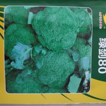 西兰花种子绿剑80西兰花种子