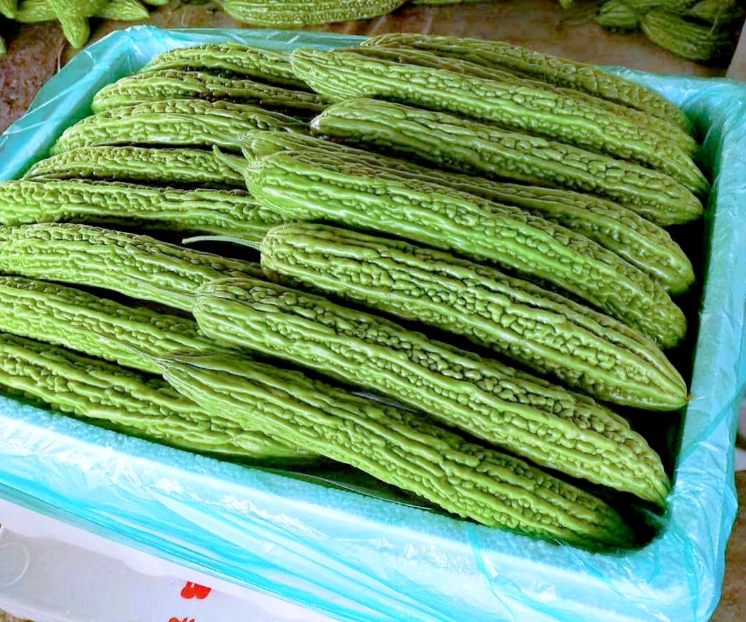 黄瓜苦味检测实验图