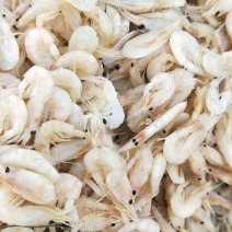 现有价格亲民，油炸膨化虾皮（麦杆虾）勾子虾颜色漂亮