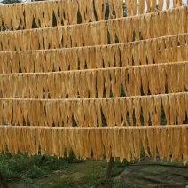 腐竹