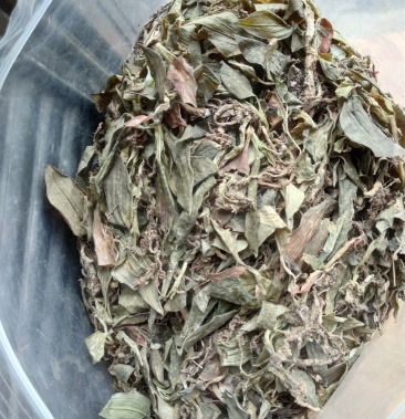 贵州野生无硫斑叶兰干货银线莲生货肺心草干品润肺产地直销