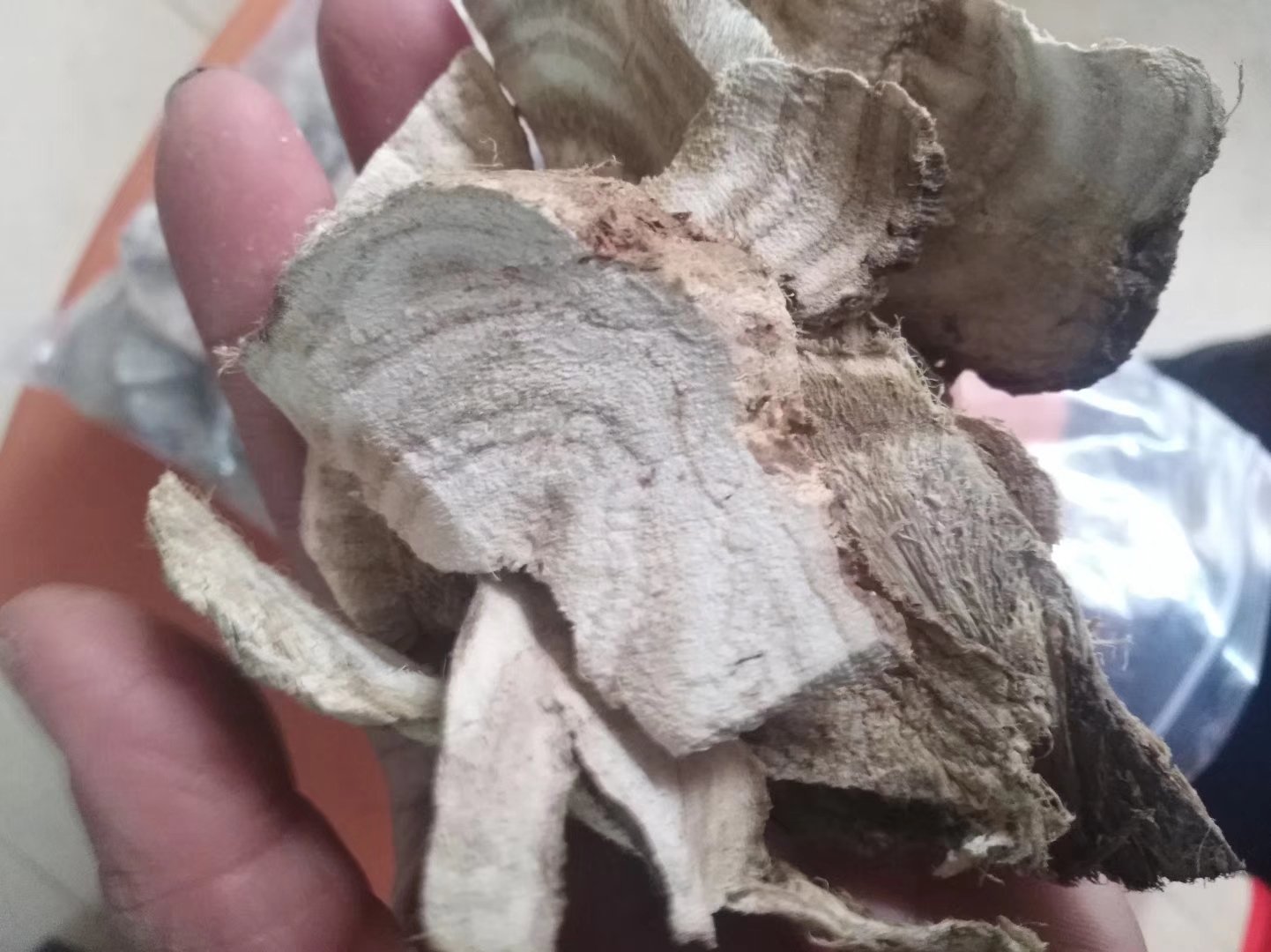 熟地黄成品与用量对比图