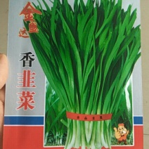 香韭菜种籽小细叶老品种香味浓郁生长四季盆栽耐寒金盛达蔬菜