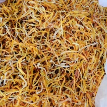 产地直销黄花菜，一手货源，物美价廉欢迎咨询订购。