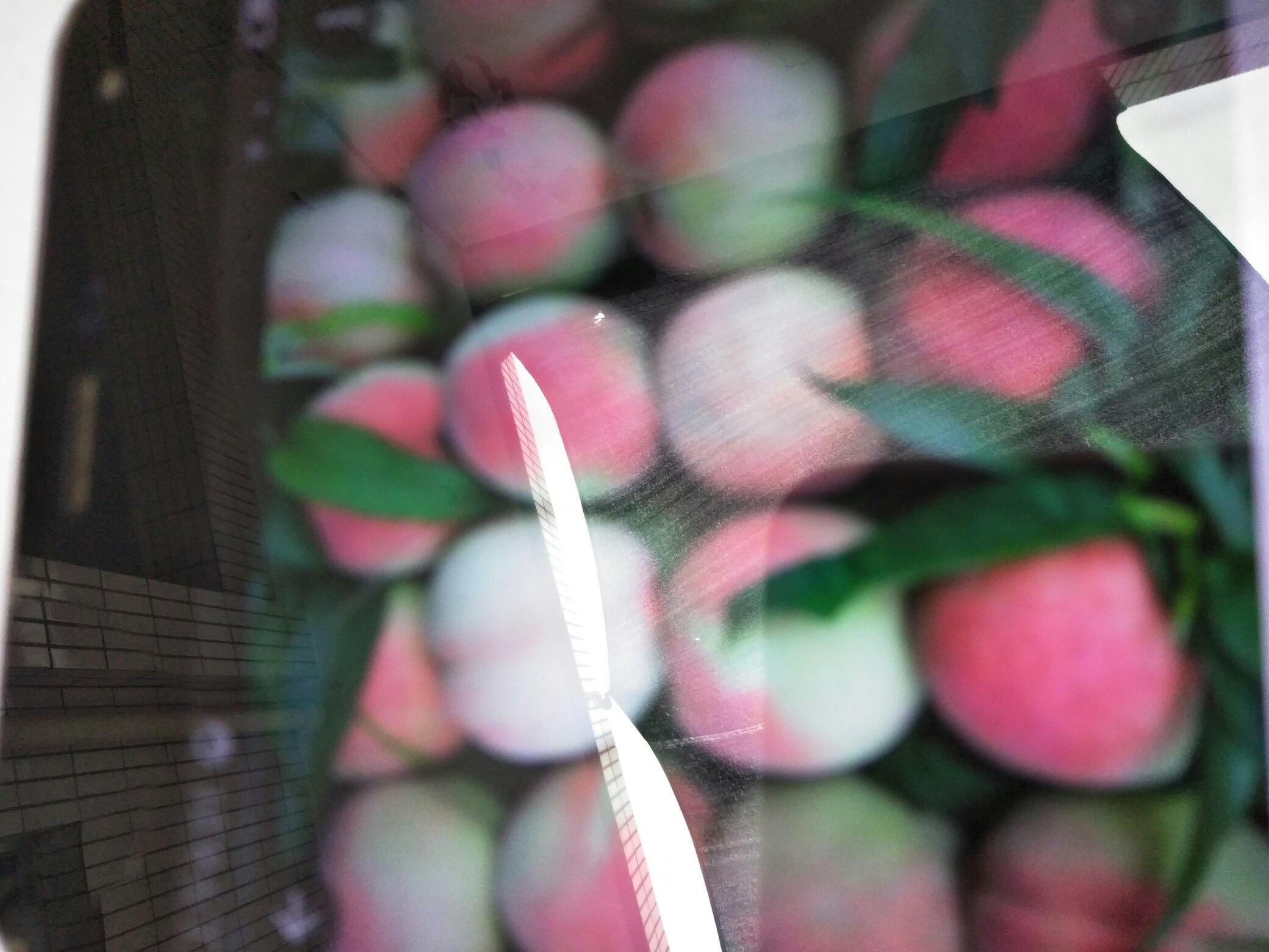 红不软桃的果实特写