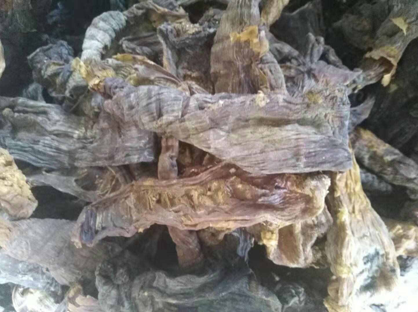 干竹笋泡发前后对比图