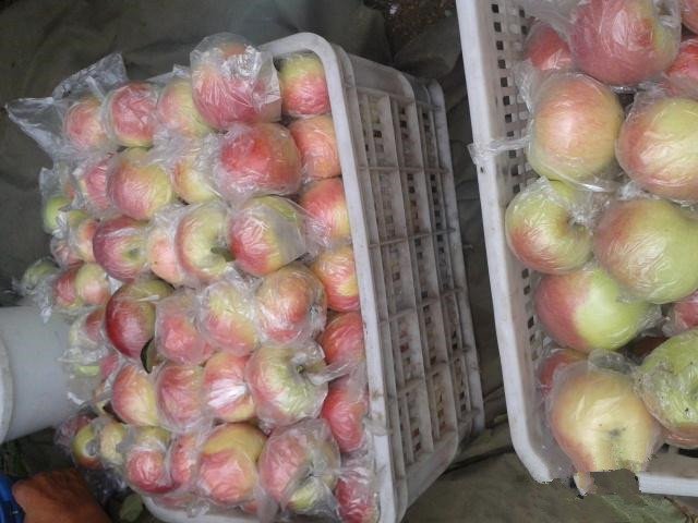 仓储环境中坏果扩散示意图