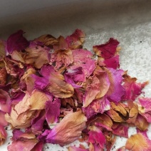 山东平阴食用级玫瑰花瓣玫瑰花茶打粉袋泡茶化妆品原料