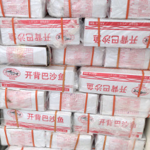 开背鱼，鱼柳