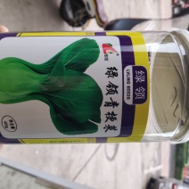 绿领青梗菜种子早生矮脚型耐热耐湿性好叶柄扁绿株型优美