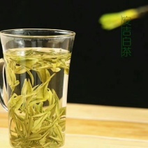 安吉白茶