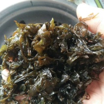 大量批发优质地皮菜批发
