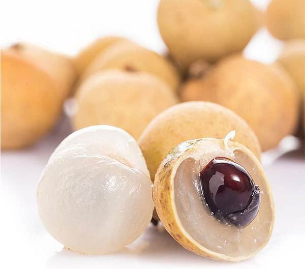 展示桂圆完整果实结构,包括果肉、果皮与果核 桂圆果实剖面图