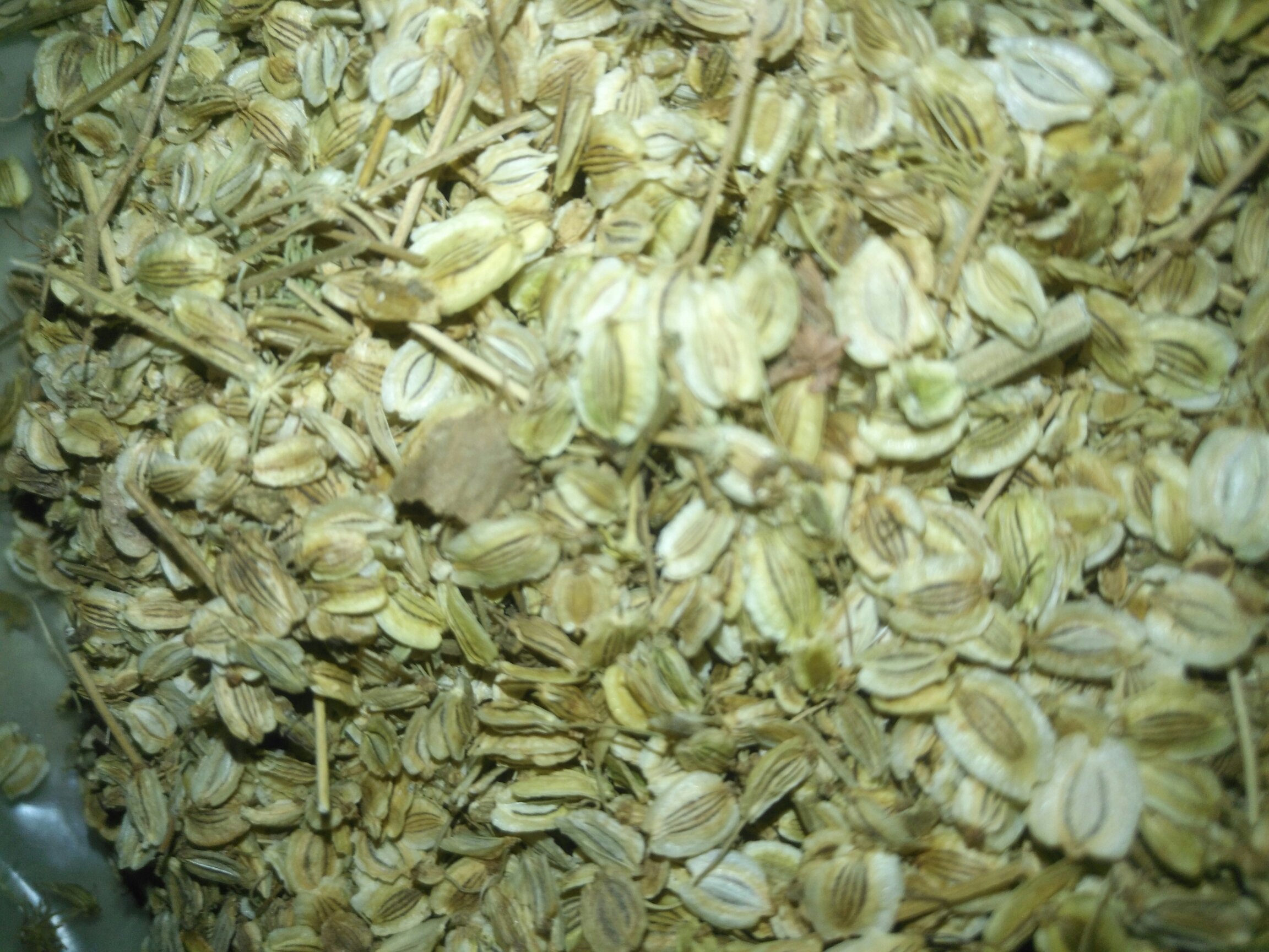 白芷主要产地分布图,标注杭白芷与川白芷的主要种植区域 白芷主要产地分布图