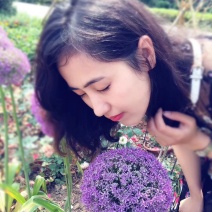 荷兰进口大花葱兰种球大使，球王，格斗士，卡如勒等