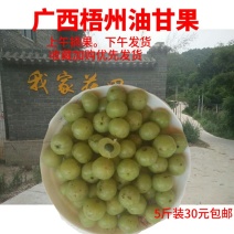 油甘果油甘子牛甘子3斤包邮一件代发