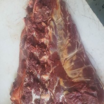 蒙古马肉