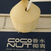 泰国原装箱进口香水椰青单果900-1300克支持电商微商