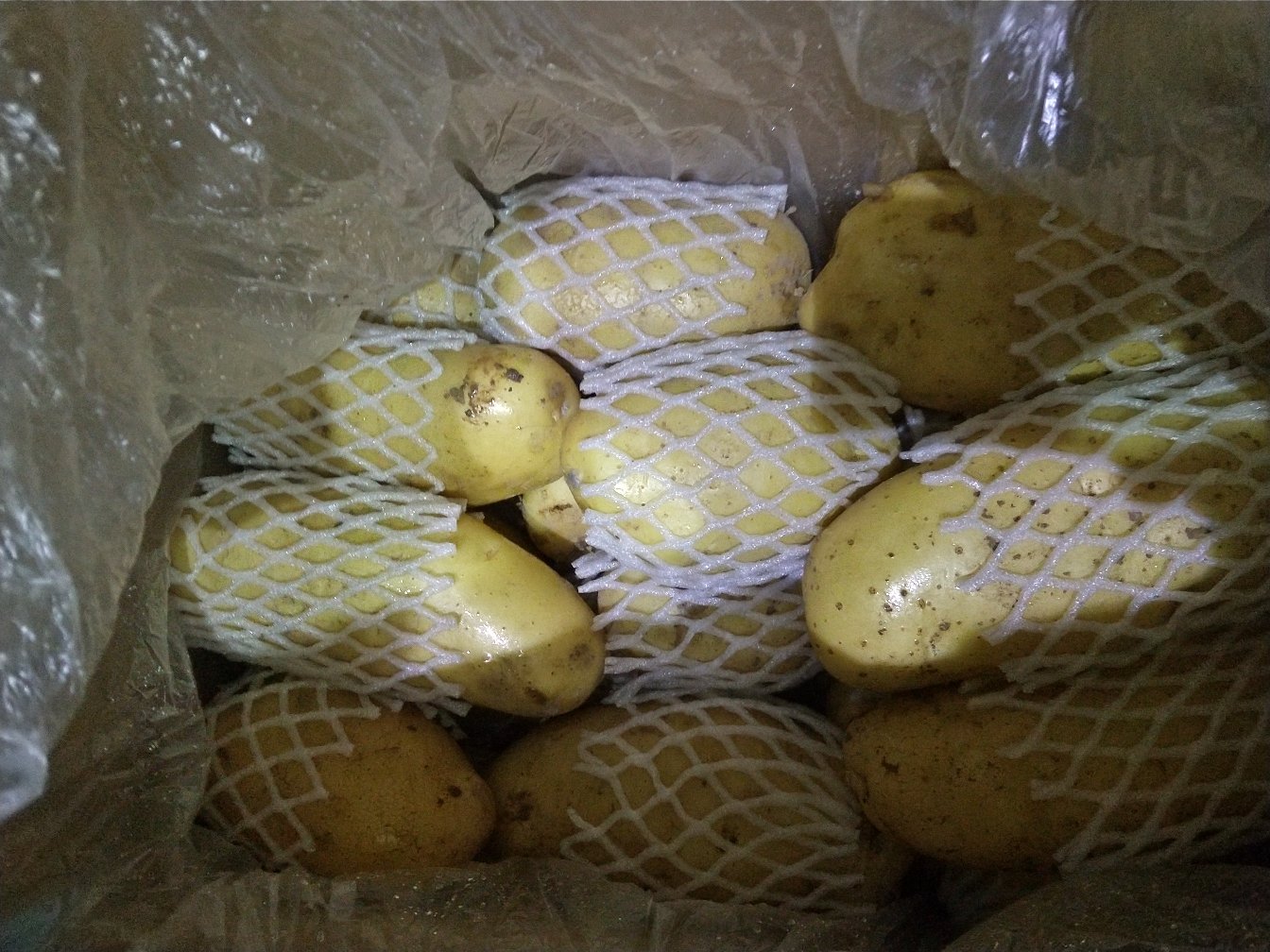 俯视图:透明带盖保鲜盒内盛放浅绿色青豌豆粒,盒内铺有微潮厨房纸,盒盖边缘留有2个直径约3mm的透气小孔;背景为现代冰箱蔬果抽屉,内壁有湿度调节标签显示'高湿',温度计读数为3.5℃ 青豌豆冷藏保存示意图