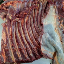 马肉