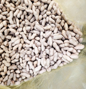 [天府3号花生批发]天府3号花生果价格4.50元/斤 - 一亩田