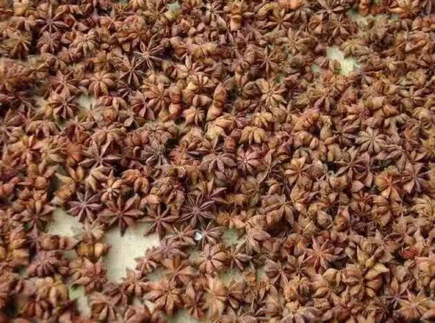 一张展示多种厨房香料的图片,包括八角、茴香、花椒、桂皮等,背景为复古木质桌面 厨房香料合集图