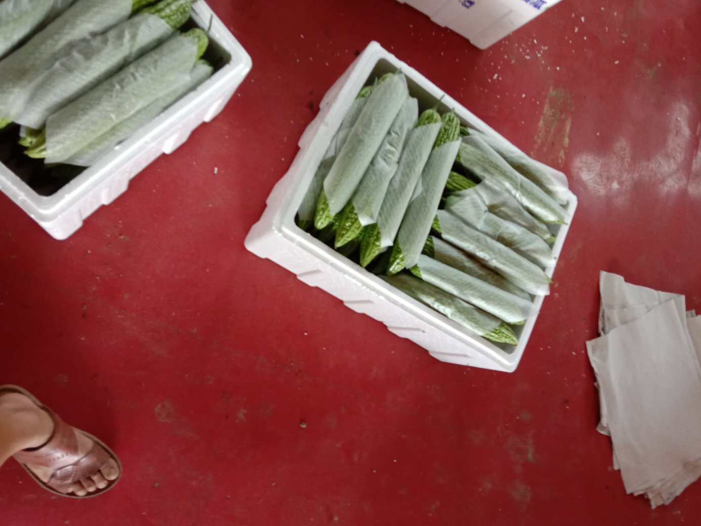 陈列在货架上的双红李果干、果酱和果汁产品,包装精美,标识清晰 双红李深加工产品展示