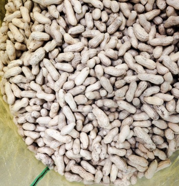 [天府3号花生批发]天府3号花生果价格4.50元/斤 - 一亩田