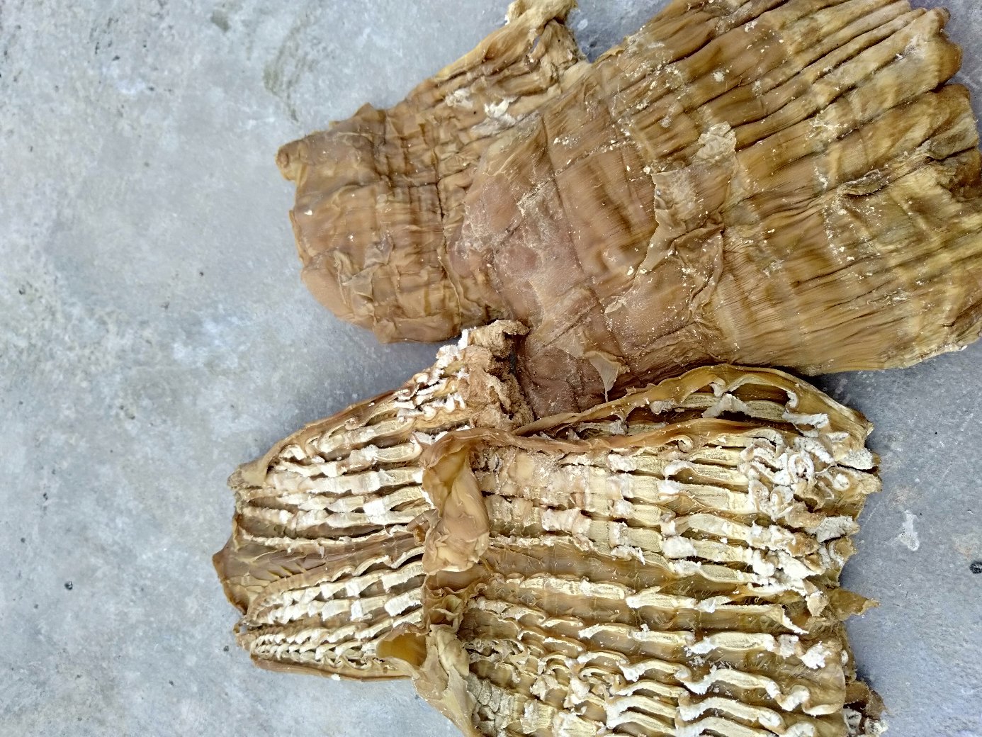 小竹笋干制品展示