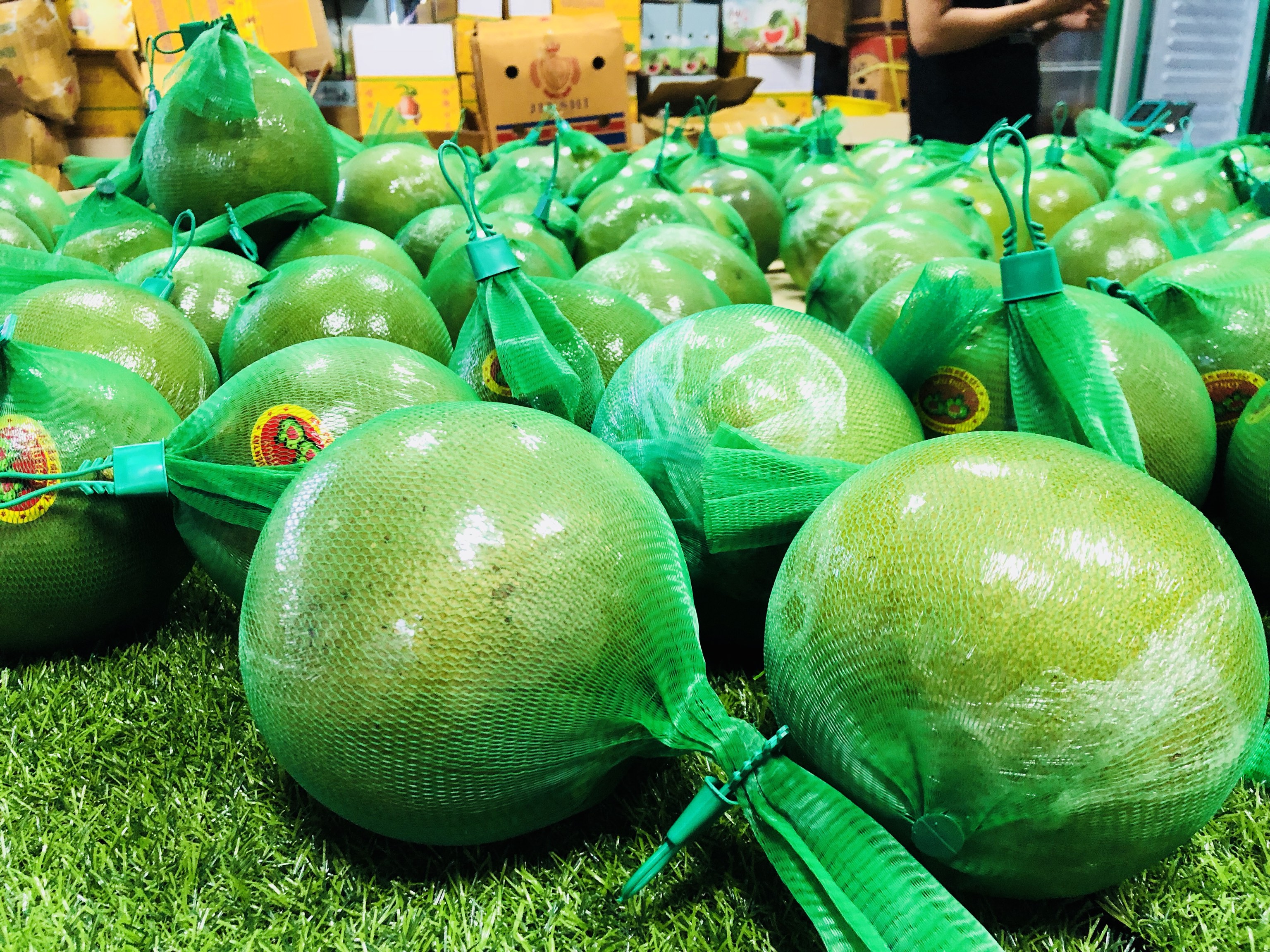 一个热闹的水果市场摊位,木筐中整齐摆放着数种外形类似柚子的水果,包括金黄色的传统柚子、粉红色外皮的葡萄柚、青绿色的未知杂交品种,背景中有顾客正在挑选,标价牌上写着‘非普通柚子’‘进口新品’等字样 市场摊位上的多种类柚形水果陈列