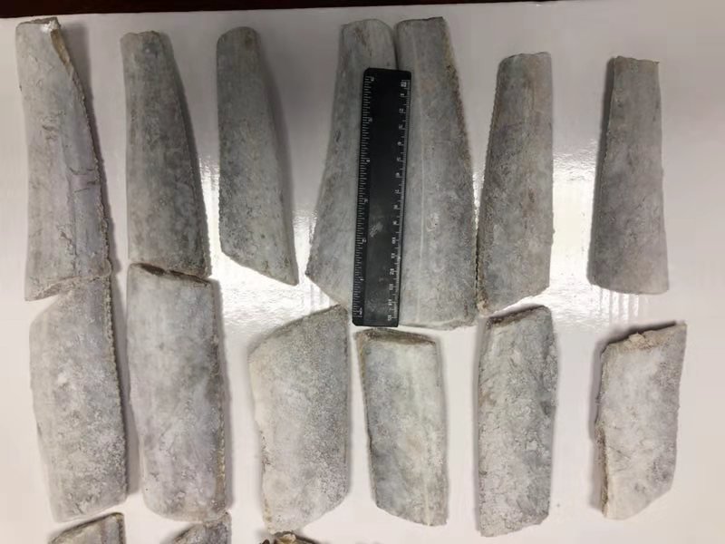 冷冻带鱼外观展示