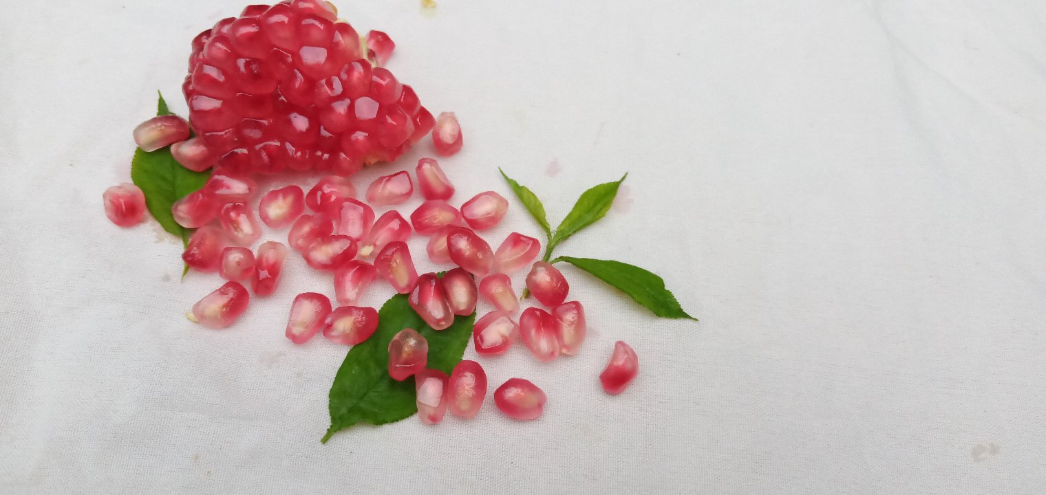 切开的会理突尼斯软籽石榴,晶莹剔透的红色籽粒紧密排列,果汁充盈,背景虚化突出果实细节,展示高水分、高色泽品质特征 新鲜会理石榴剖面特写